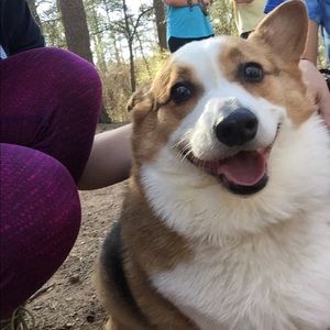 Meet your Posher, Caitlin